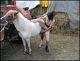 Zoophilie gratuite poney